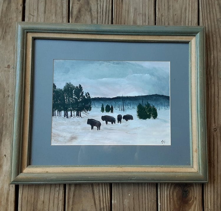 American Buffalo- Bison Watercolor Framed And Matted