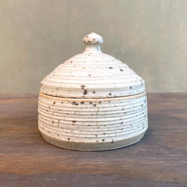 Ceramic Salt Cellar with Lid - Carved Ribbed Matte White 