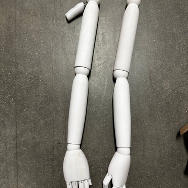 Mannequin Arm (Set)