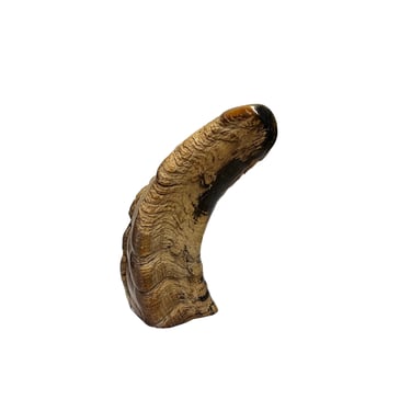 Decorative Ox Horn Look Raw Rough Surface Display Art ws3046E 