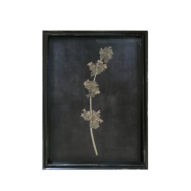 Framed Pressed Botanical Print, No. 3