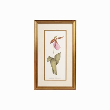 1988 Nancy Shumaker Pallan Lithograph Print Vintage Flower Pink Lady's Slipper 