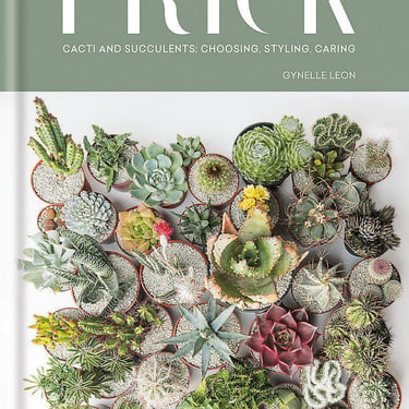 Prick: Cacti and Succulents: Choosing, Styling, Caring | Gynelle Leon