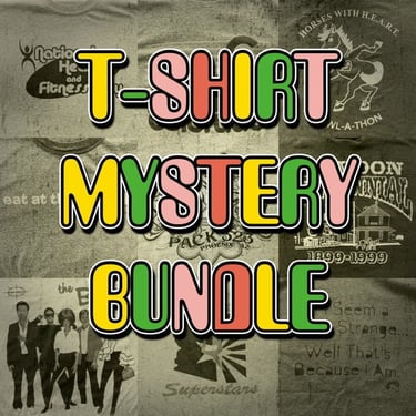 Vintage & Novelty Tees Set of 3 Mystery T-Shirts 