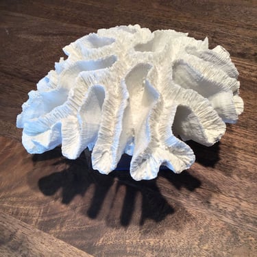 Williams Sonoma White Coral (Seattle)