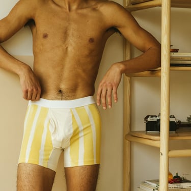 Stripe Boxer Brief, Organic Cotton Yellow Stripe Underwear 