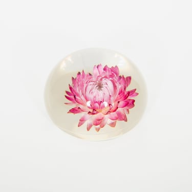 Purple Strawflower Paperweight