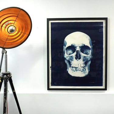 Large Framed Skull Cyanotype 49.5” x 60” Signed