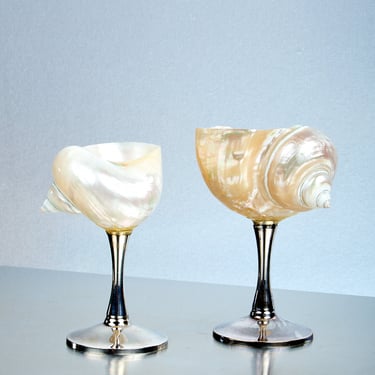 Curly Shell Glass Silver Stem
