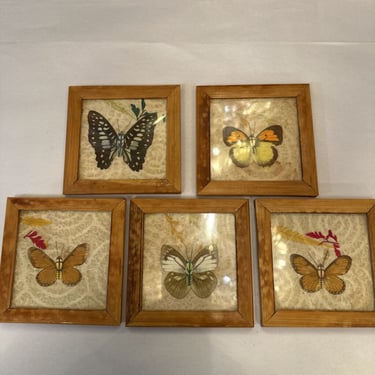 Vintage bamboo Butterfly coaster