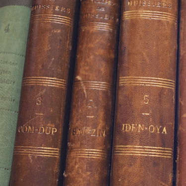 Leatherbound French Encyclopedia