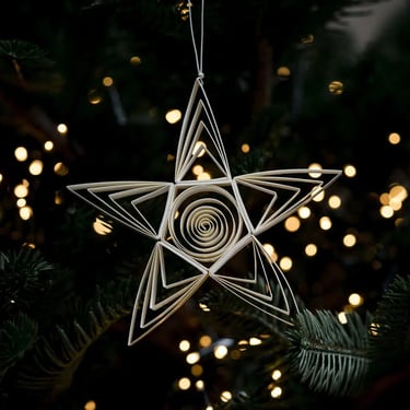 BWC Quilled Pollux Star Paper Ornament