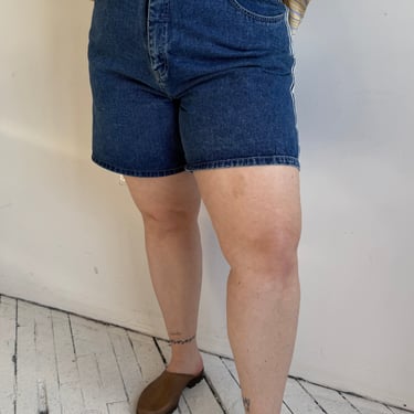 Vintage - Denim Stripe Shorts (1X)