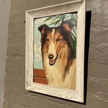 Collie Paint by Numbers