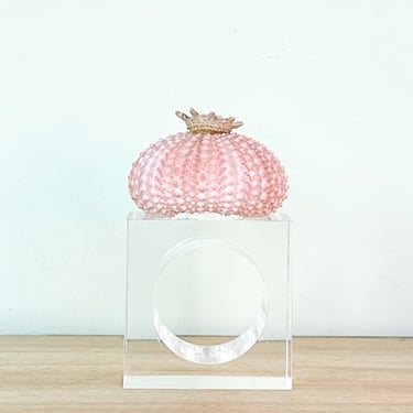 Pink Sea Urchin Lucite Napkin Ring