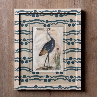 Aldrovandi Hand-Colored Bird Engraving in Gusto Painted Frame and Mat VII