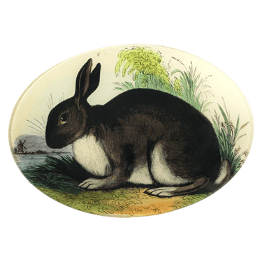 John Derian Rabbit 7 x 10" Oval Tray