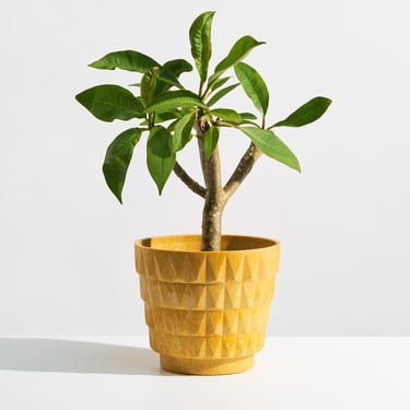1960s Vintage Fesco Molded Plastic Planter // Retro MCM Yellow Flower Pot with Geometric Pattern 