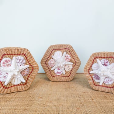 Set of Three Petite Shell Baskets