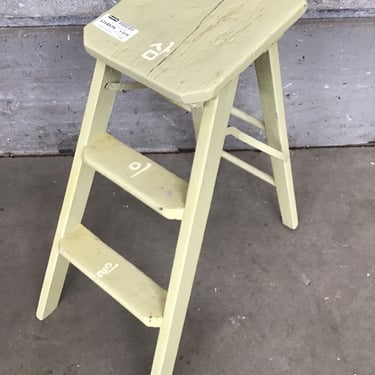 Gracefully Aging Step Stool (Seattle)