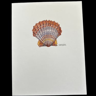 Shell Notecards - Onion Hill Greeting Card