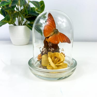 Vintage Butterfly Cloche w/Wooden Base, Native Colorado Naturals Dried Flowers, Wood, Retro 70s Boho Home Decor, Granny Chic Cottage Core 