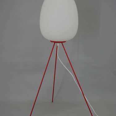 Very Rare Egg Floor Lamp by Napako, 1960s 