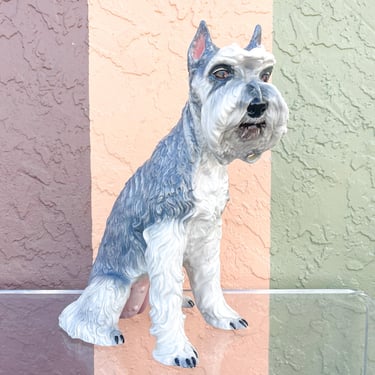 Darling Schnauzer by Towsends