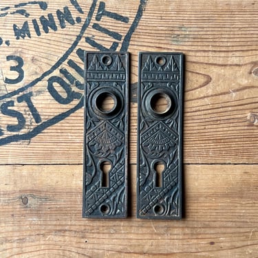 Pair of 1890s Victorian Eastlake Cast Iron Branford Door Back Plates 