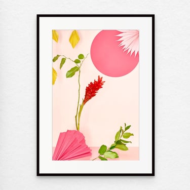 Archival Framed Photo: Still Life With Hawaiian Ginger Flower No. 7, Archival Pigment Print, Non-Glare Acrylic, Size is 11x15 inches 