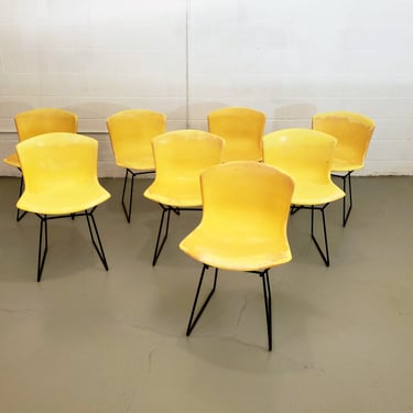 Mid Century Set of Eight Harry Bertoia for Knoll Fiberglass Shell Chairs 