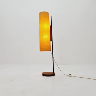 Rare Midcentury Danish floor lamp teak & fiberglass 1960s 