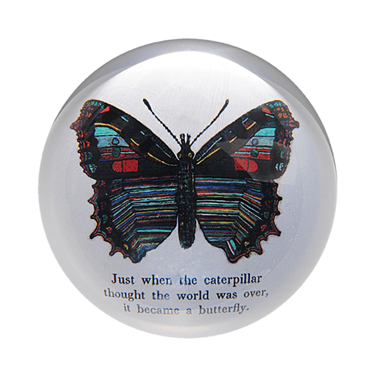 Butterfly Paperweight