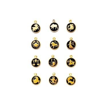 MSD Tiny Zodiac Charm Necklace