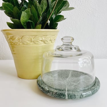 Green Marble + Glass Cloche
