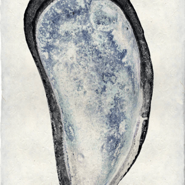 Mussel #3