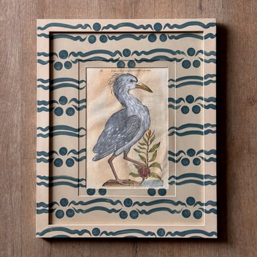 Aldrovandi Hand-Colored Bird Engraving in Gusto Painted Frame and Mat V