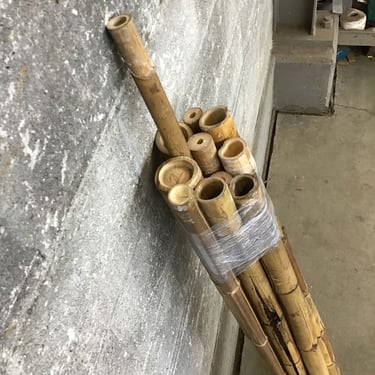 Bamboo Stick Bundle (Seattle)