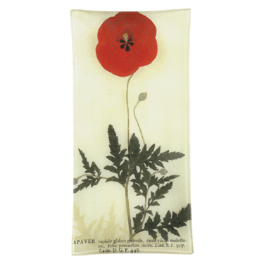 Red Poppy 6 x 12" Pencil Tray