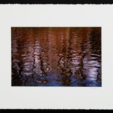 Anne Sager Forest Reflections Photograph Print