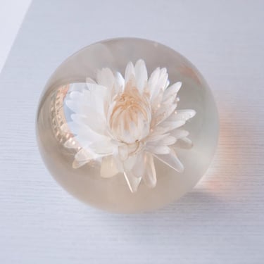 Strawflower Paperweight