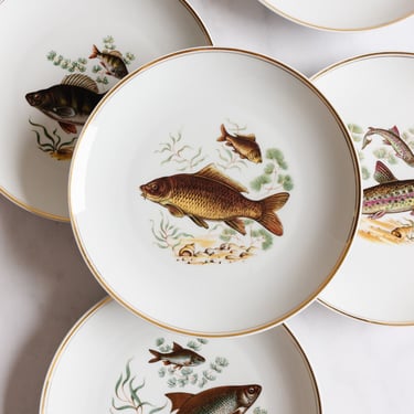 midcentury French porcelain fish plates, set of 11