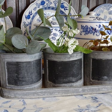 Vintage French Country Herb Garden Planter, 3 Tin Pots in Tray with Wooden Handles,  French Flea Market, Farm House Chic 