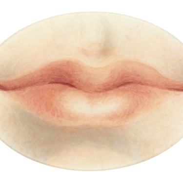 Lips Plate