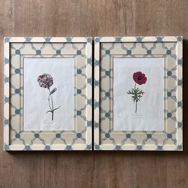 Pair of Dr Robert Thornton Hand-Colored Botanical Engravings in Gusto Painted Frame and Mat V