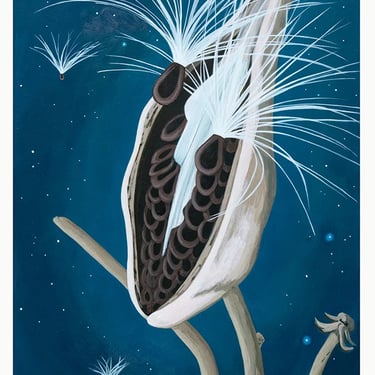 "Milkweed Seedpod" Giclee Fine Print