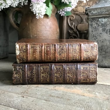 18th C French Leather Bound Book, Gilded Raised Spine, Chateau Decor, Antiquarian Books, Sold by Each Book 