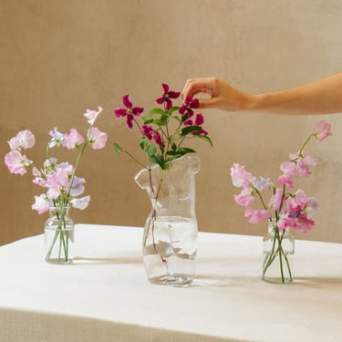 Transparent Body Glass Vase