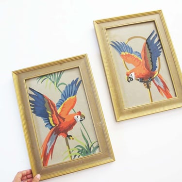 Vintage 1960s Parrot  Paint By Number Framed Art Set 2 - Tropical Red Bird Mid Century Small Wall Art - Beach House Coastal Quirky Decor 