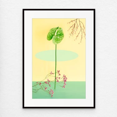 Archival Framed Photo: Still Life With Anthurium, Archival Pigment Print, Non-Glare Acrylic, Metal Frame, Original Art, 11x15 inches. 